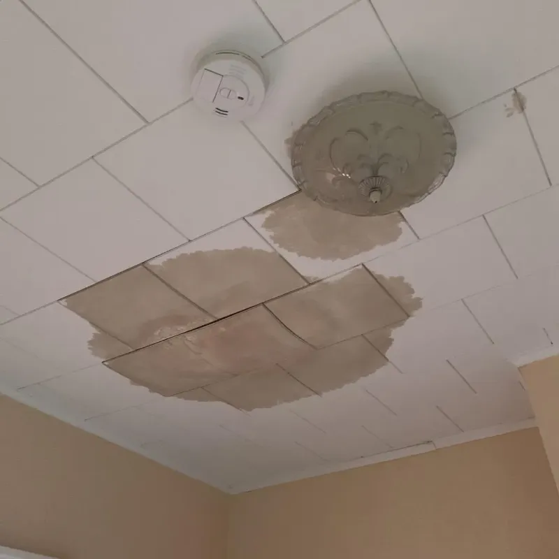 Ceiling Water Damage Repair in El Cenizo, TX