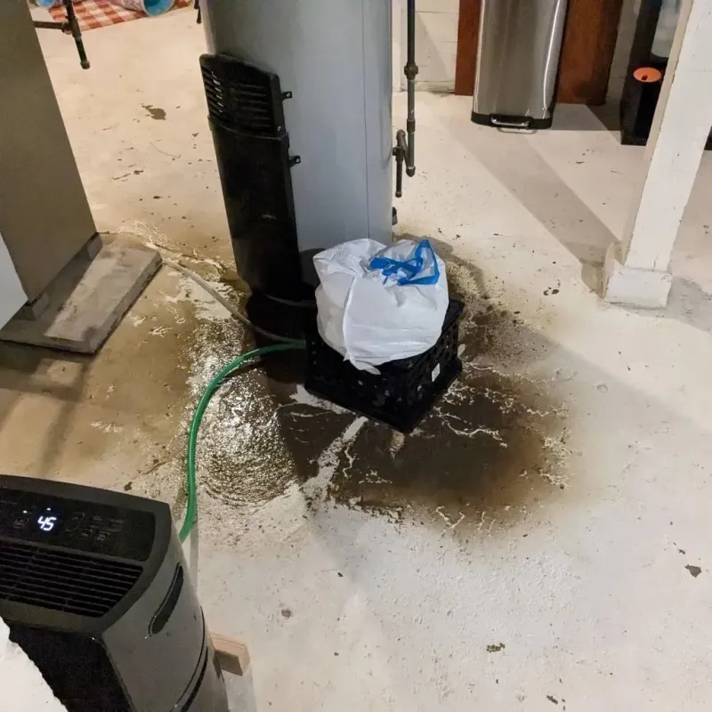 Sewage Backup Cleanup Service in El Cenizo, TX